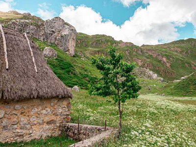 ruta de lago de saliencia asturias