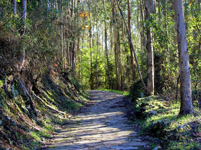 ruta de los miradores asturias