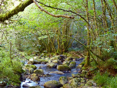 ruta de muniellos asturias