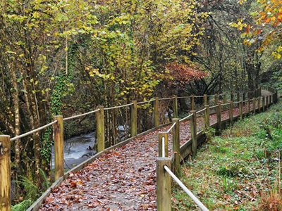 ruta de muniellos asturias