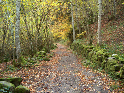 ruta del alba asturias