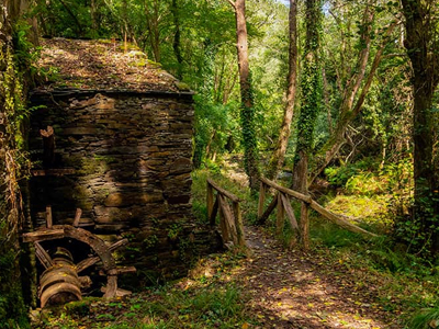 ruta del mazo meredo asturias