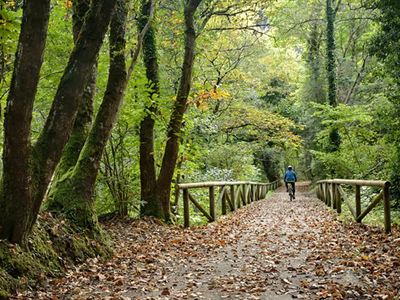 ruta senda del oso asturias