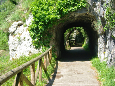 ruta senda del oso asturias